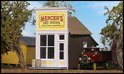 Mercer's Dry Goods